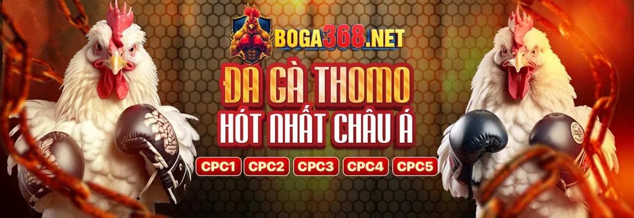 FCB8 Đá Gà - Sân đấu gà trực tuyến với ưu đãi lớn