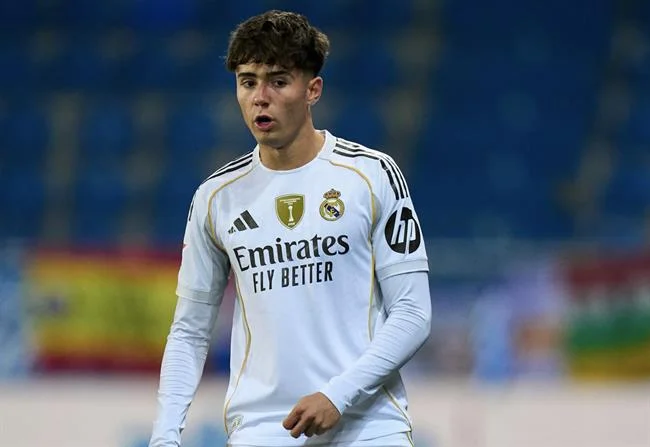 Phân tích và dự đoán các trận đấu đá gà mới nhất từ chuyên gia fcb8 đá gà